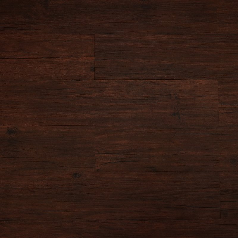 NOBLE ELM - Image 2
