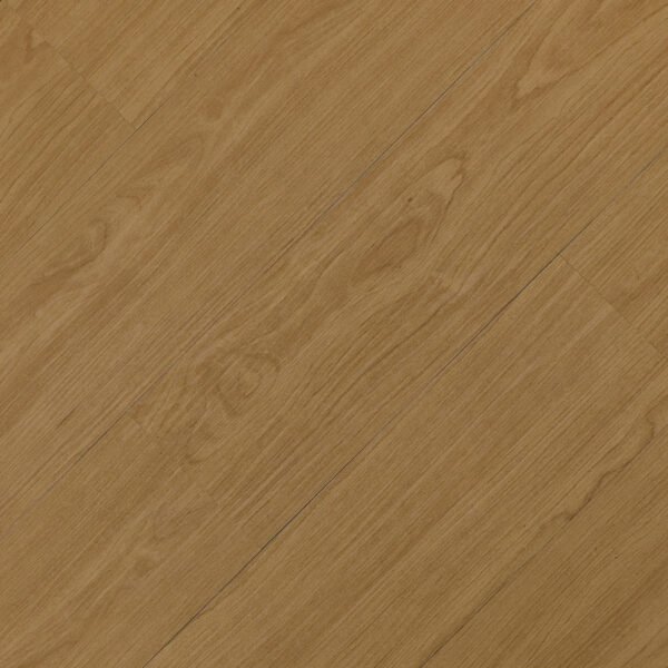 SAND OAK