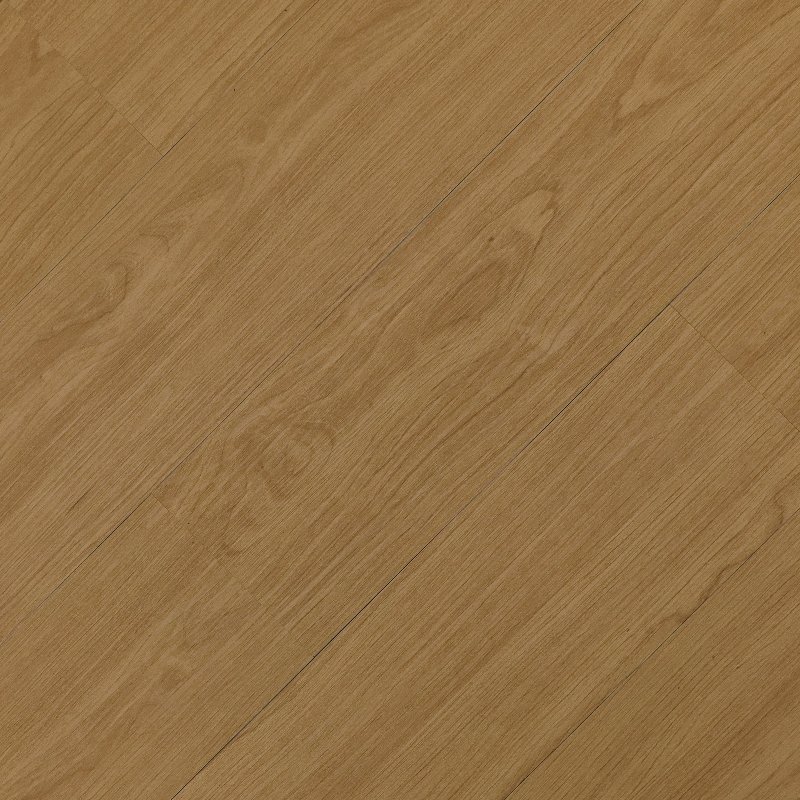SAND OAK - Image 1