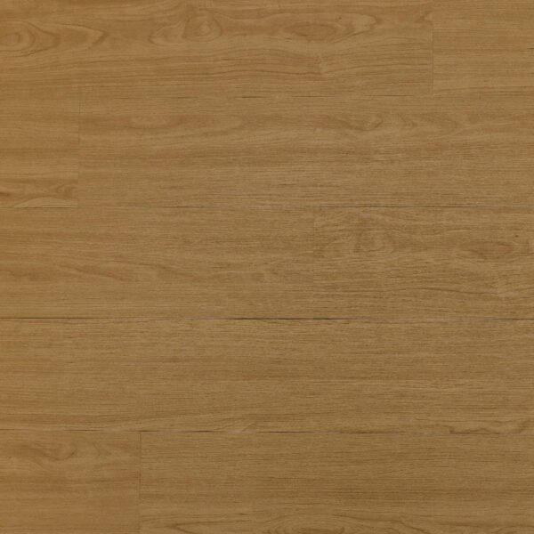 SAND OAK