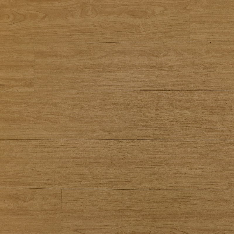SAND OAK - Image 2