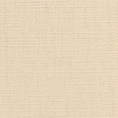 WHITE CLOTH