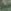GREEN MARMO - Image 2