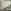 BROKEN CREAM - Image 1